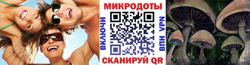 Псилоцибиновые грибы Psilocybine cubensis  OMG онион  Северодвинск  что такое  