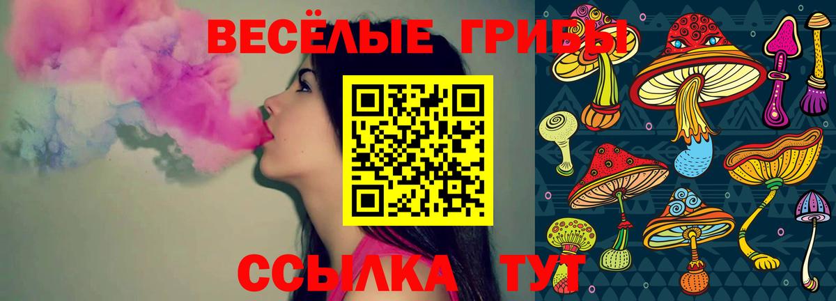 Галлюциногенные грибы Psilocybe  Вход с VPN  Северодвинск 